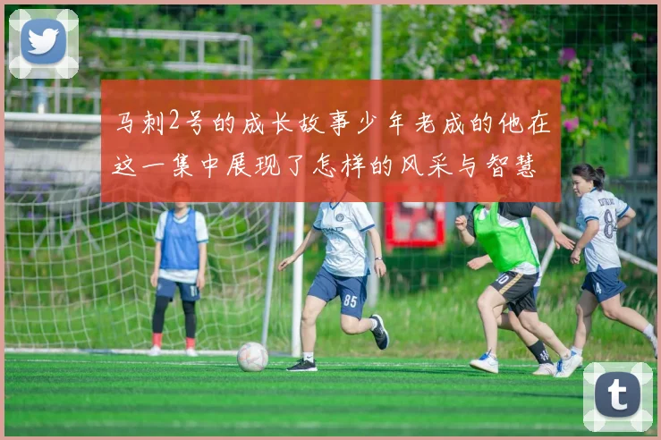 马刺2号的成长故事少年老成的他在这一集中展现了怎样的风采与智慧