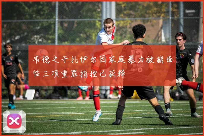 韦德之子扎伊尔因家庭暴力被捕面临三项重罪指控已获释