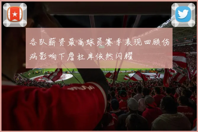 各队薪资最高球员赛季表现回顾伤病影响下詹杜库依然闪耀