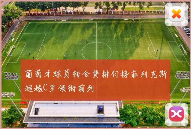 葡萄牙球员转会费排行榜菲利克斯超越C罗领衔前列